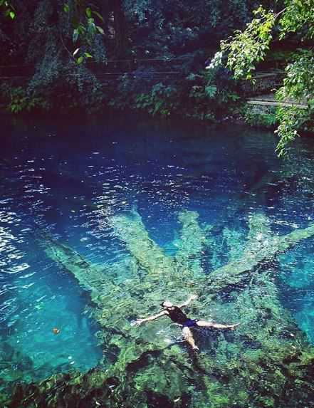 fosil kayu di sumber jenon