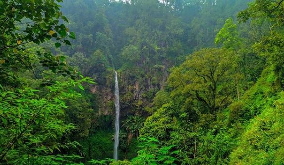 air terjun coban kembar