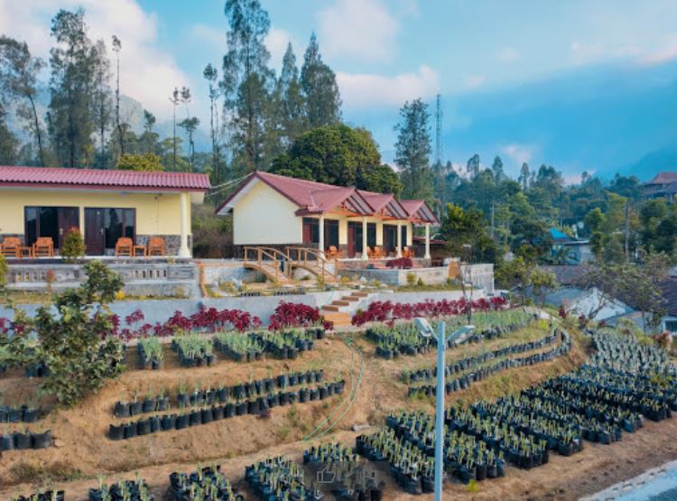 homestay bromo murah