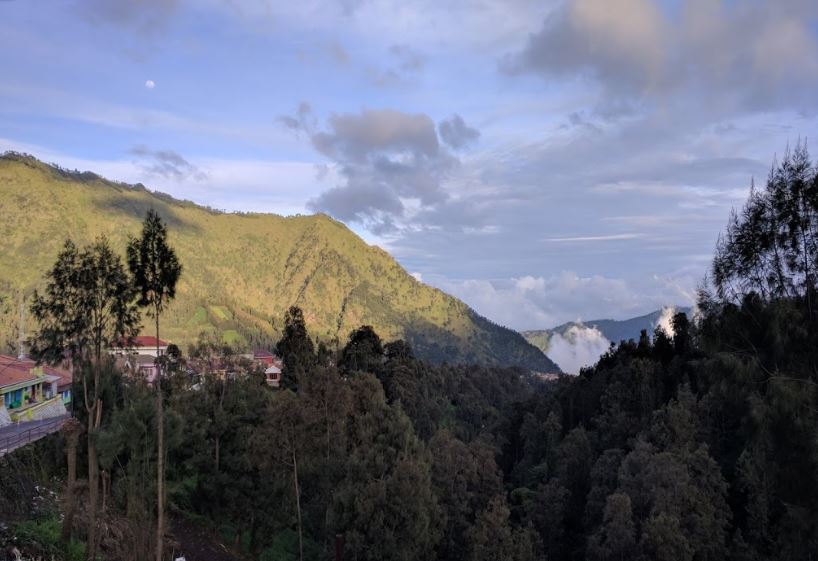 homestay di bromo