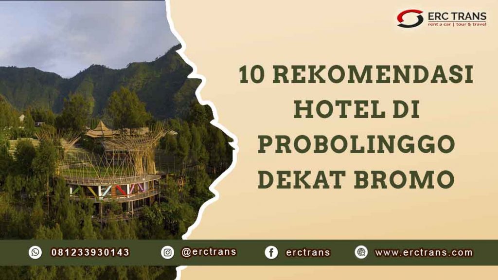 hotel di probolinggo dekat bromo