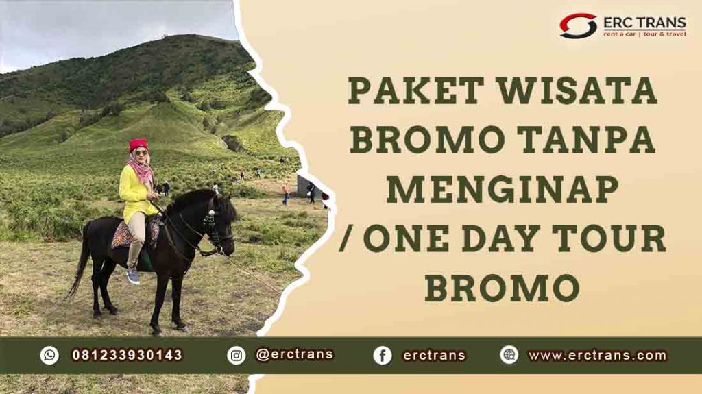 paket wisata bromo tanpa menginap