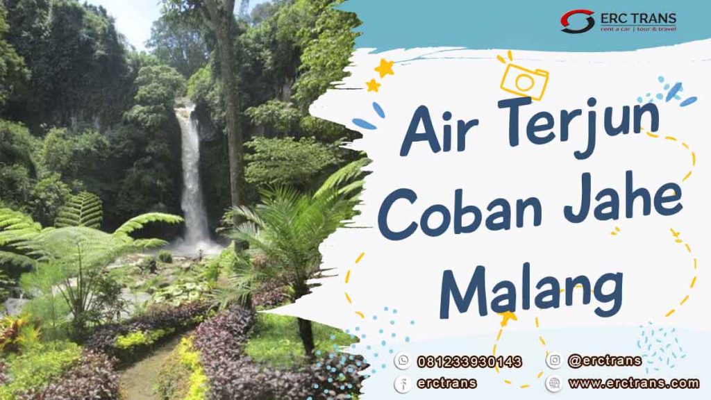coban jahe