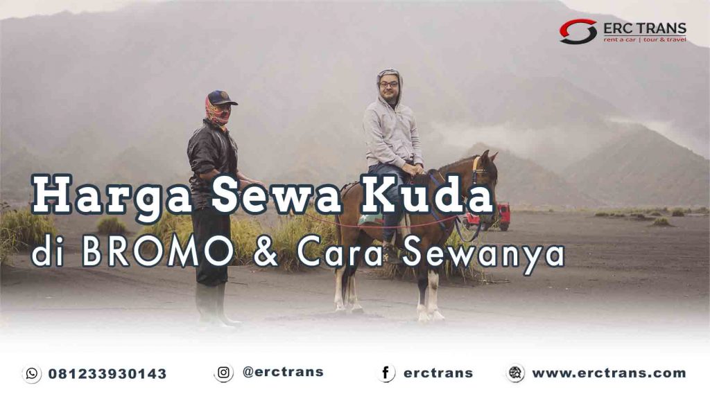 harga sewa kuda di bromo
