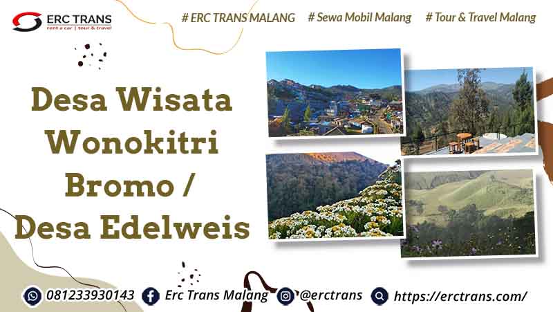 desa wisata edelweis