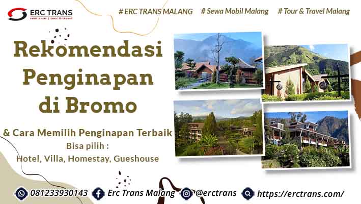 penginapan di bromo