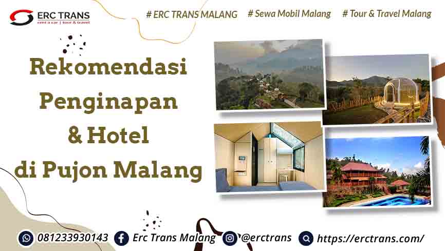 penginapan di pujon
