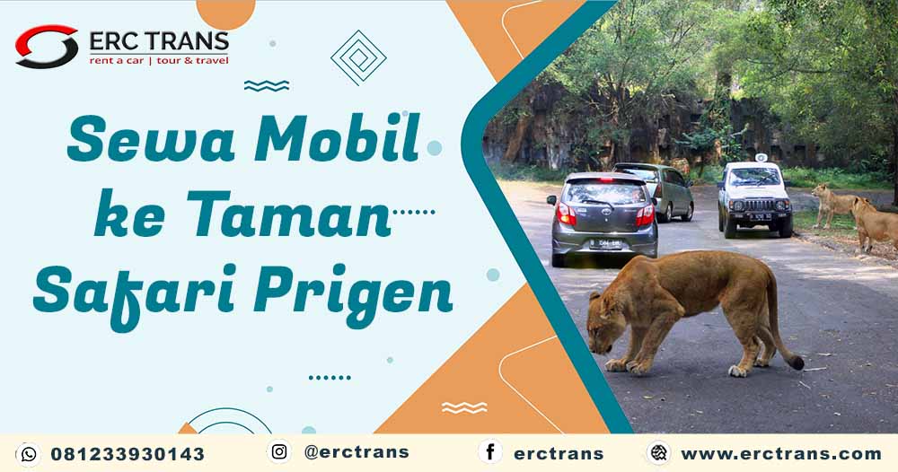 sewa mobil ke taman safari