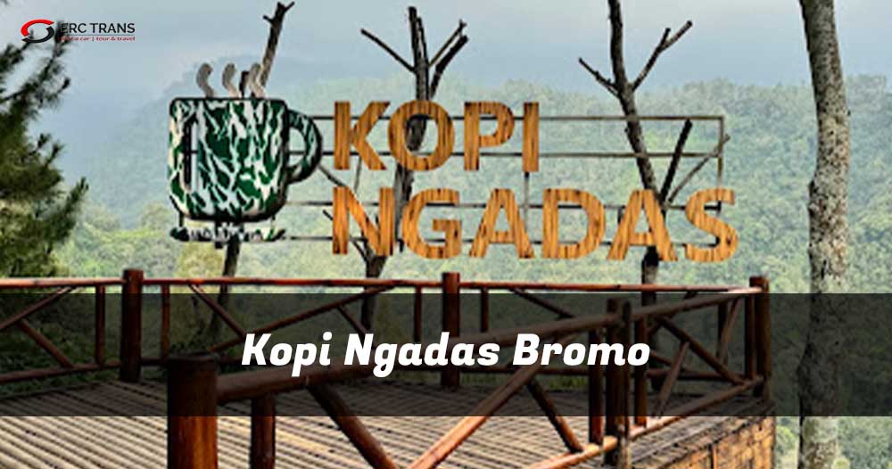kopi ngadas