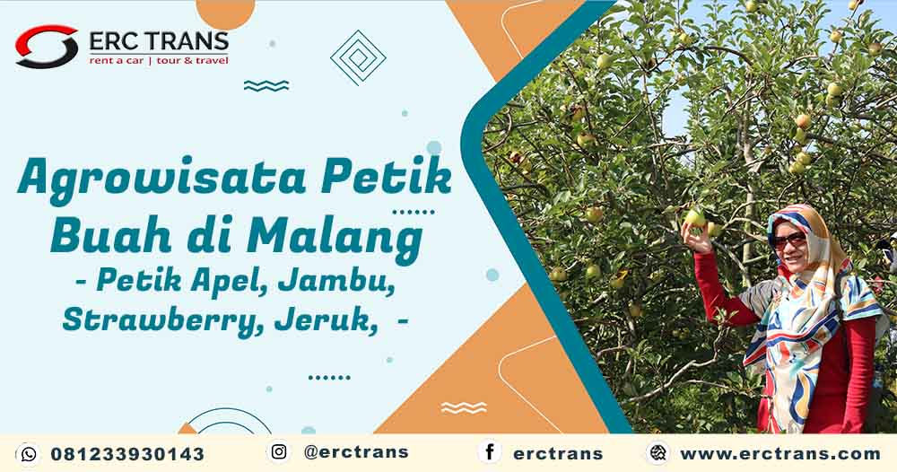 agrowisata malang