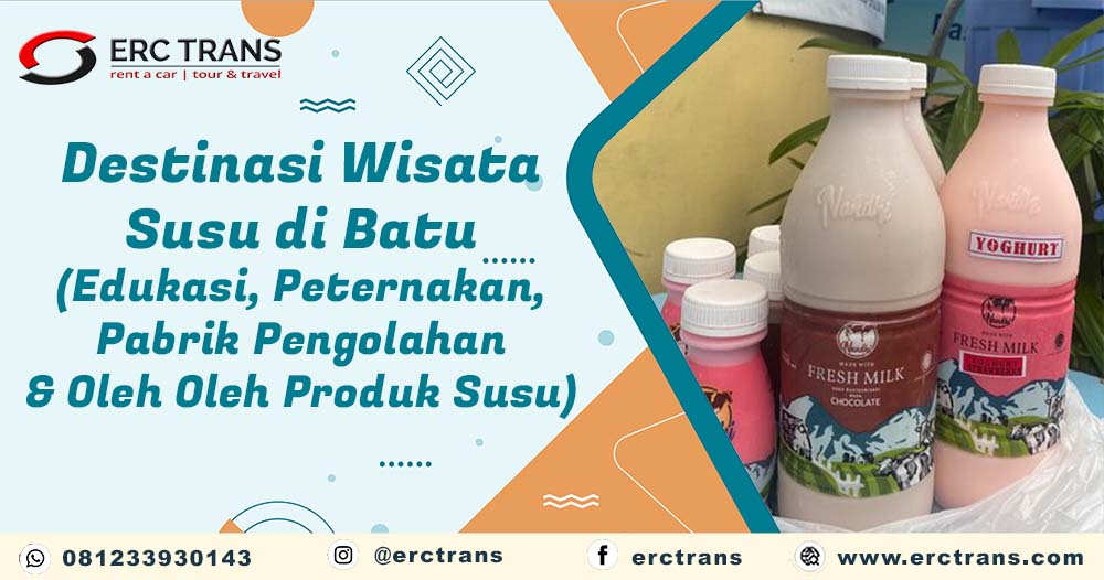 susu batu