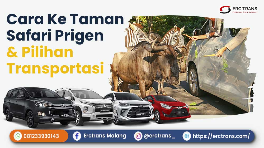 dari malang ke taman safari prigen