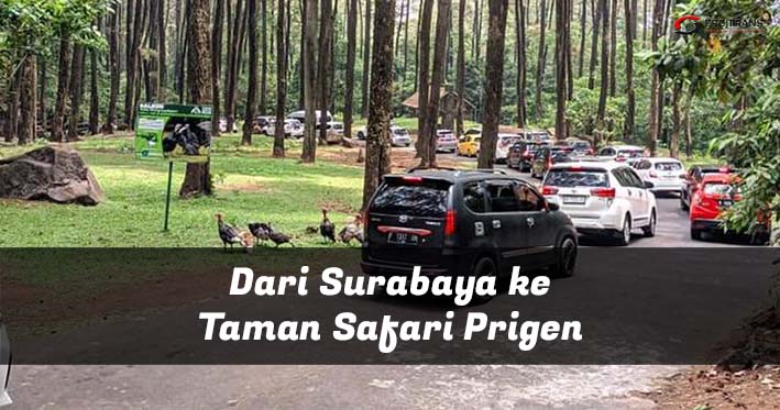 surabaya ke taman safari prigen
