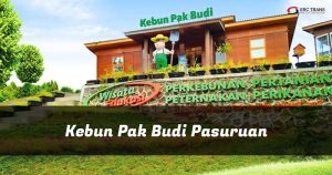 kebun pak budi