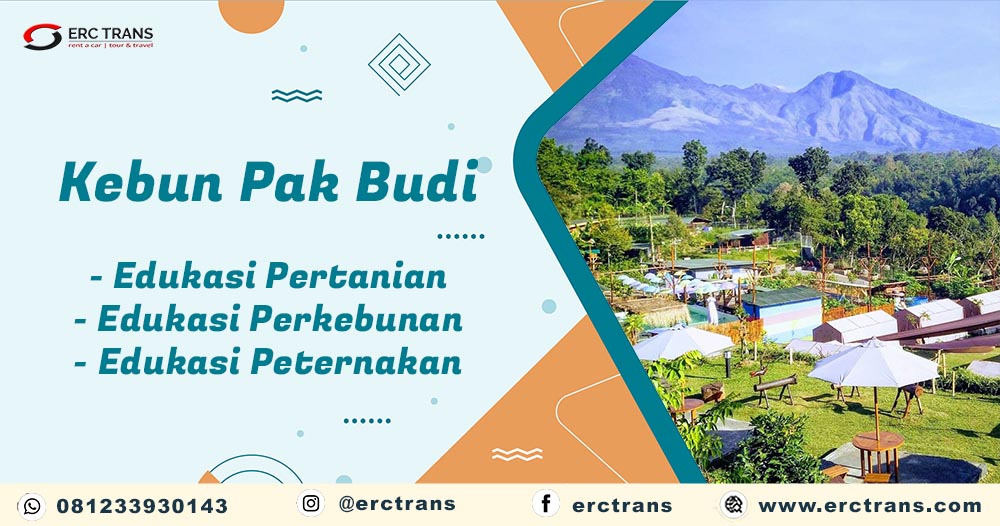 wisata kebun pak budi