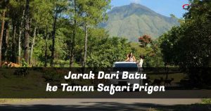 jarak batu ke taman safari prigen